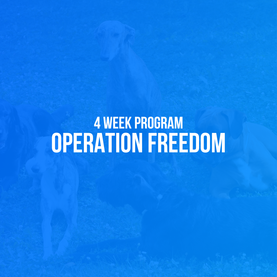 Operation Freedom