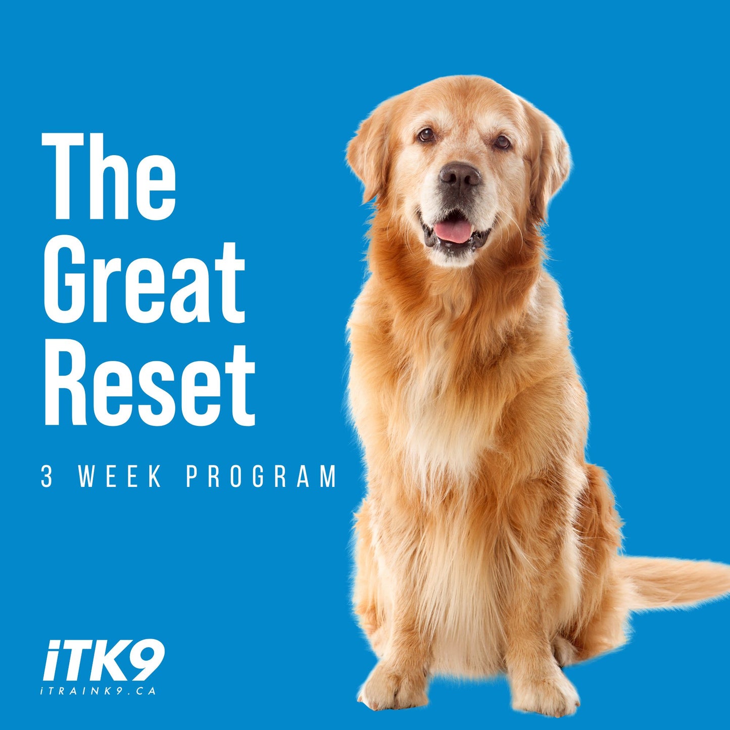 The Great Reset