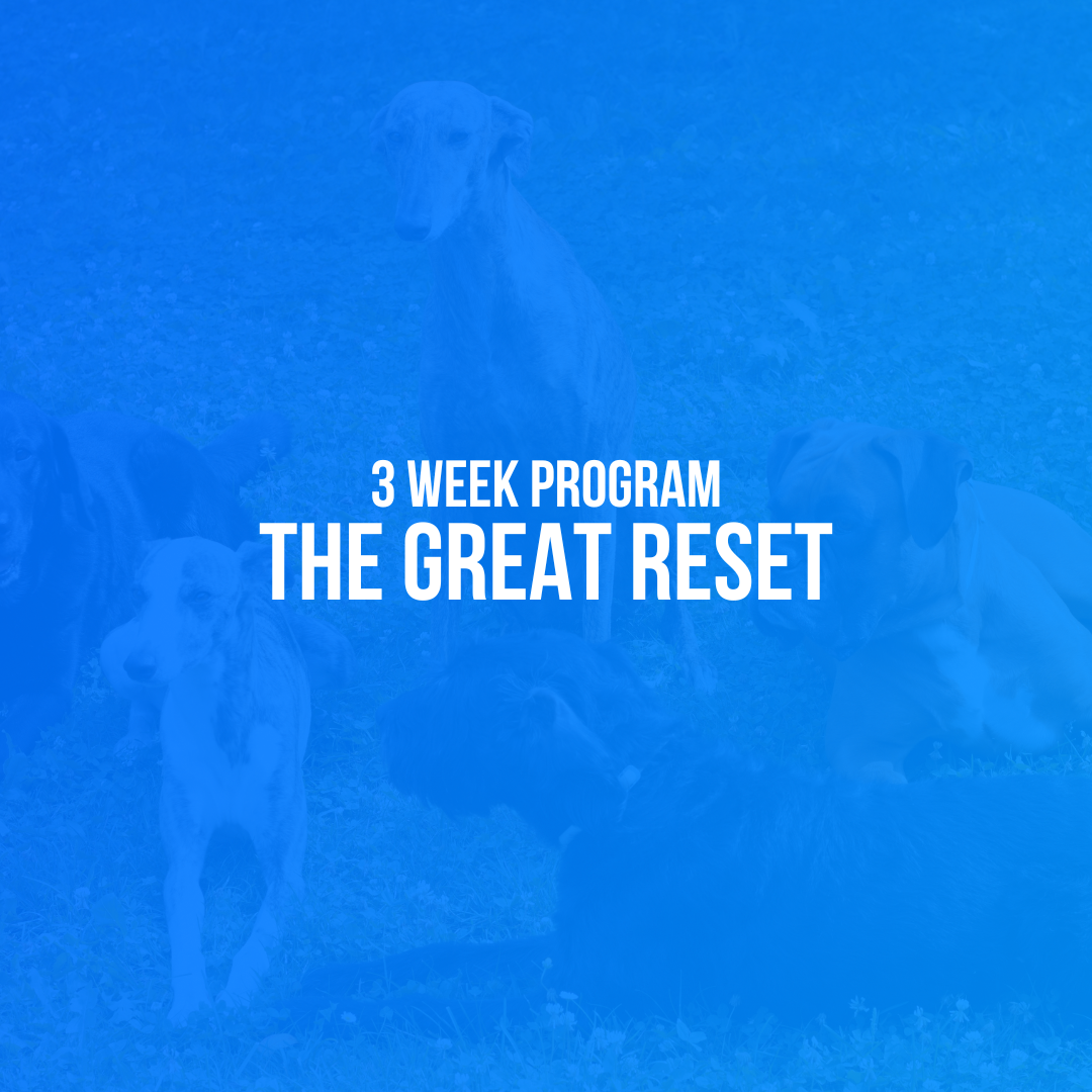 The Great Reset