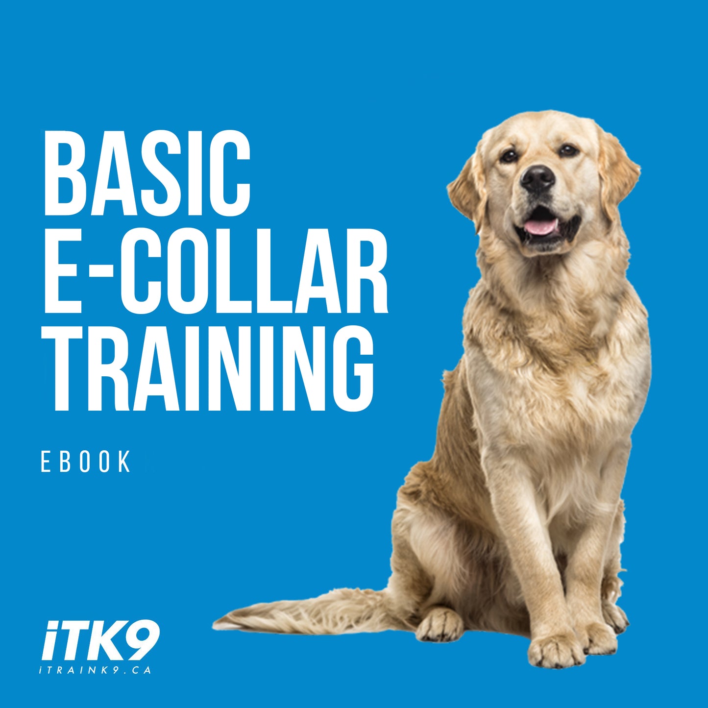 Basic E-Collar Training | Ebook