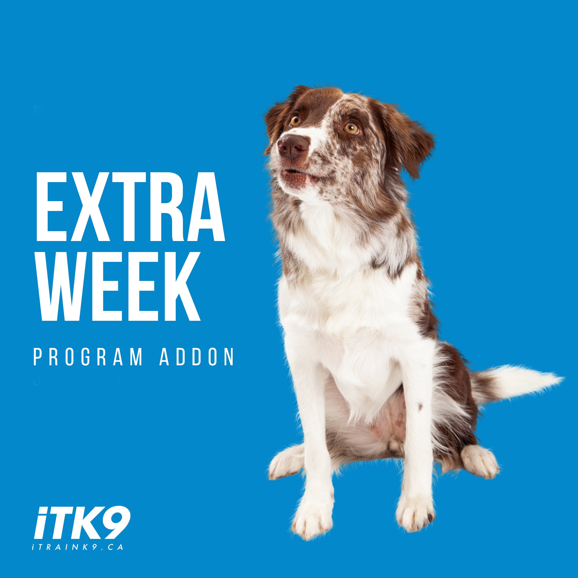 Extra Week – ITRAINK9
