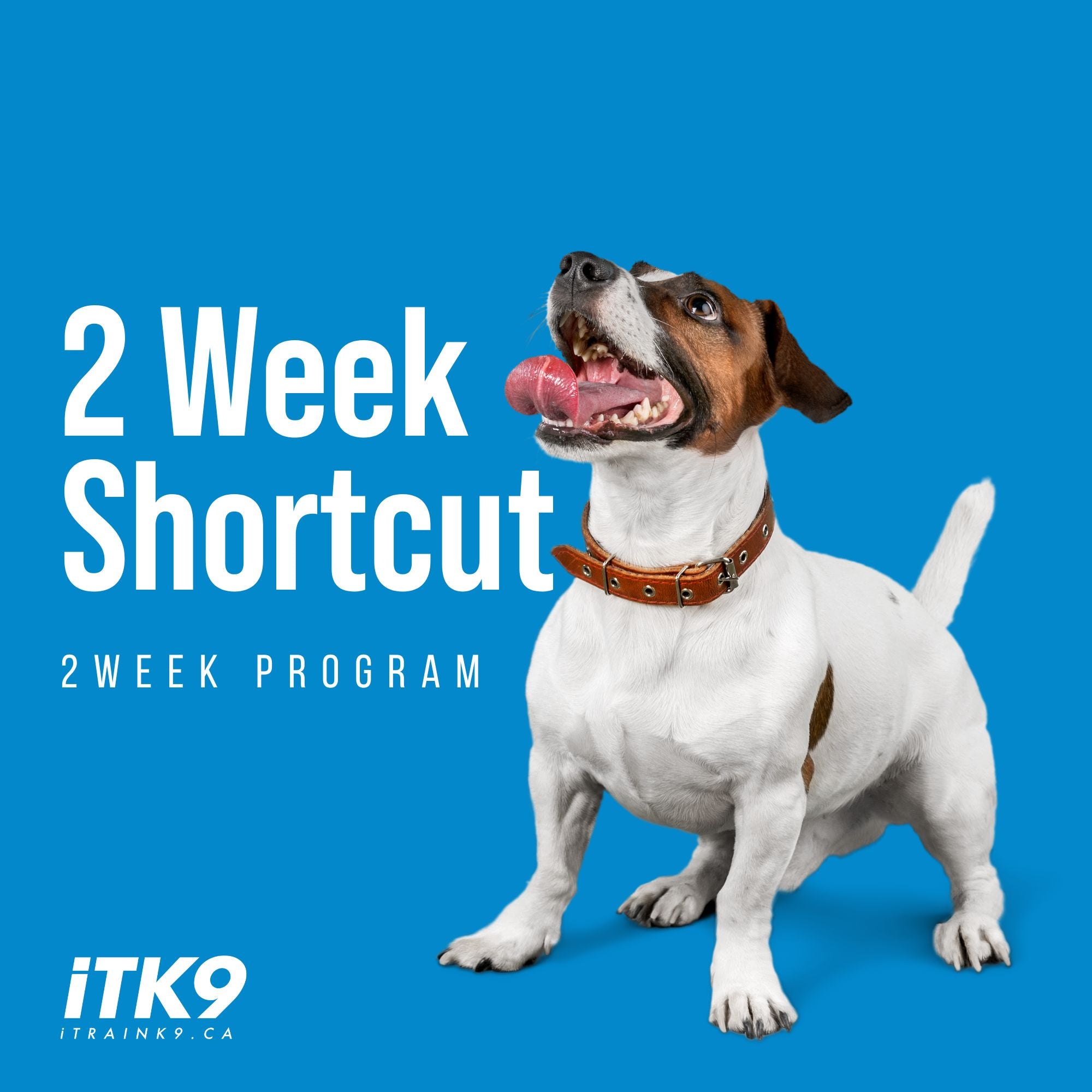 2 Week Shortcut – iTK9